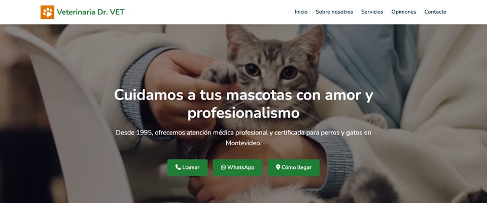 Diseño de web para la veterinaria Dr. VET